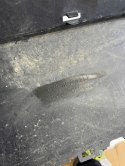 Audi a3 s-line spoiler dokładka dyfuzor zderzak 2012 2016 FV WYS 24H ORG