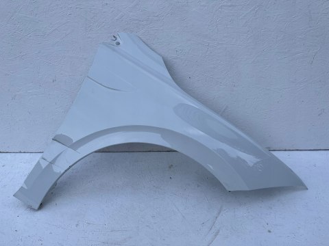 VW POLO VI 2G0 BŁOTNIK PRAWY PRZEDNI ORG VW POLO VI 2G0 BŁOTNIK PRAWY PRZEDNI ORG