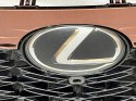 LEXUS RX V 2023- F-SPORT ATRAPA GRILL ZNACZEK 53101-48C10 ORG FV WYS 24H