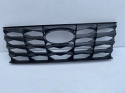 Hyundai Tucson IV (Tl, Tle) (Nx4e, Nx4a) kühlergrill Gitter Bj. 2020- Original